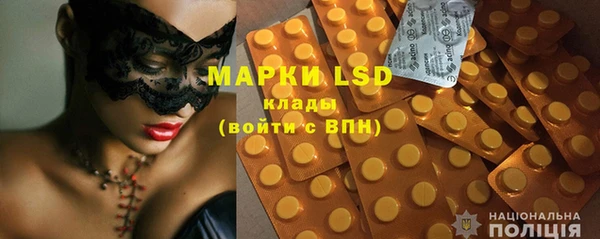 гашик Аркадак