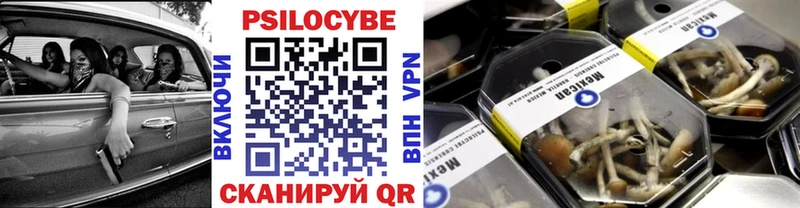 Галлюциногенные грибы MAGIC MUSHROOMS Купить где Алзамай